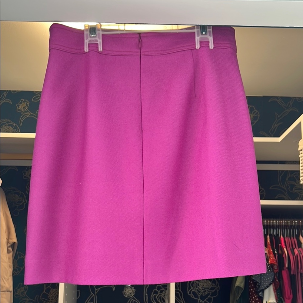 Elegant J.Crew Pink Women's Skirt